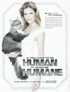 be-an-angel-for-animals-ad-uk72_0408