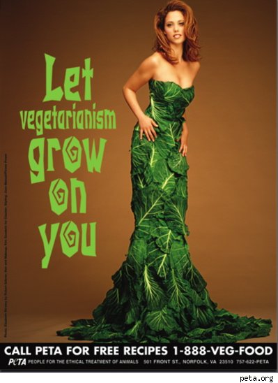 peta lettuce dress