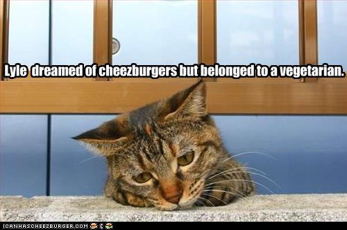 cheezburger.com