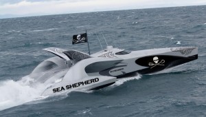 Earthrace Sea Shepherd