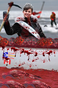 Seal Hunting Facts