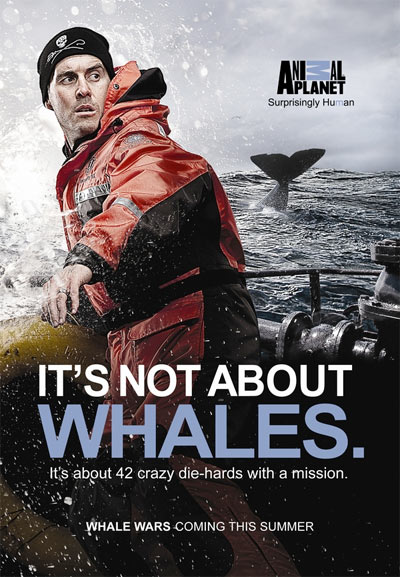 Whale Wars Season 3 Promo Poster