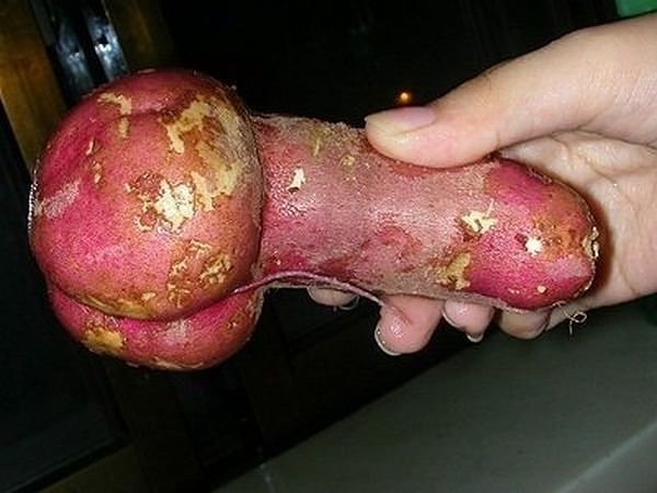 Potato. Credit: Organic Authority