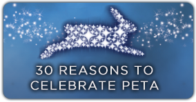 PETA 30th Anniversary Gala