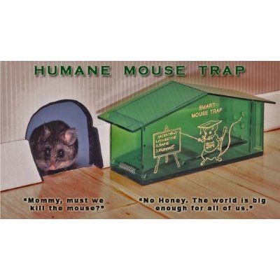 Humane Mouse Trap