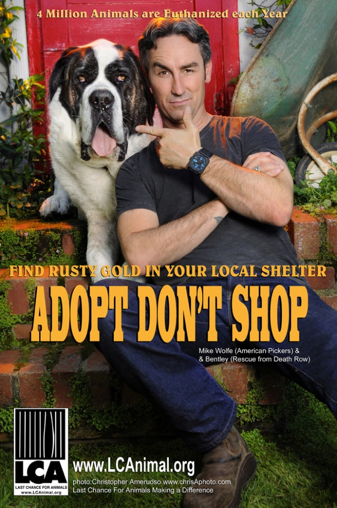 Adopt_Dont_Shop_Mike_Wolfe