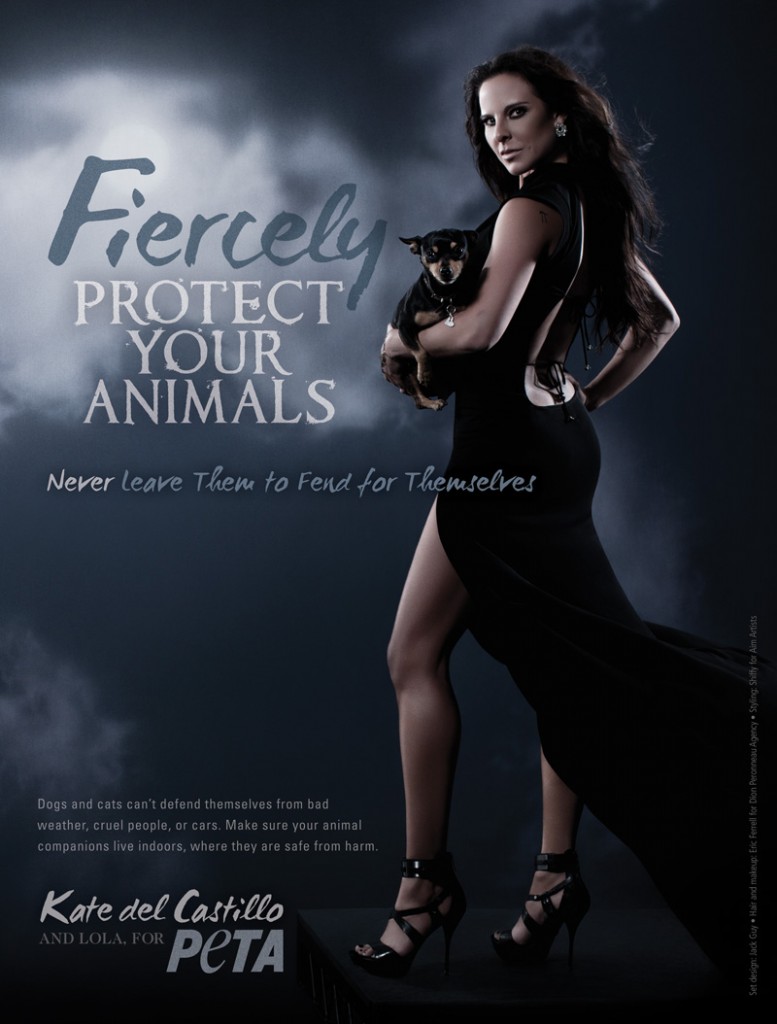 Kate del Castillo: Fiercely Protect Your Companion Animals