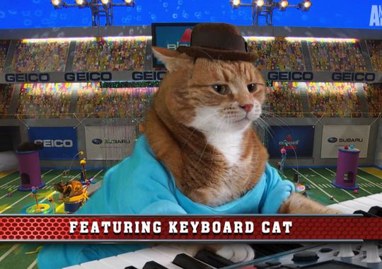 Puppy Bowl and Keyboard Cat