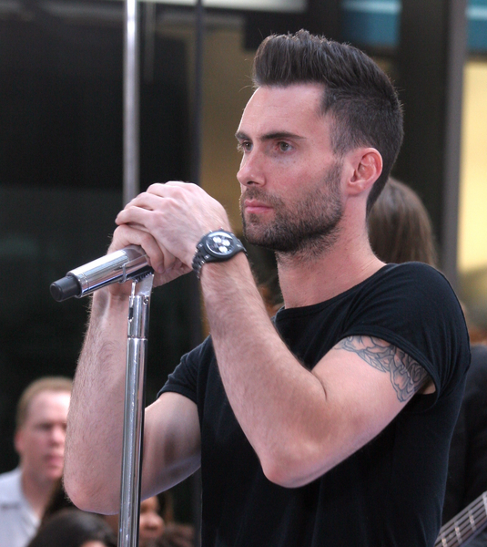 Vegetarian StarAdam Levine Of “Maroon 5” Gives Meaty Definition Of ...
