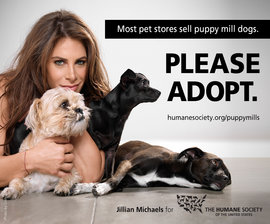 pets adoption organization